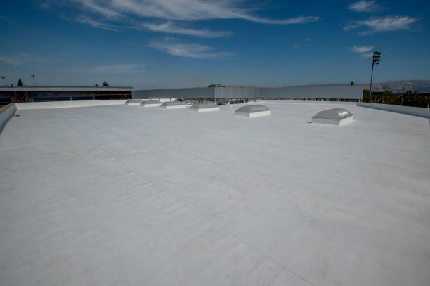 Best Flat Roofing  in Pace, FL