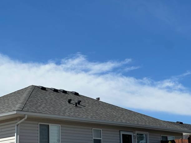 Best Solar Panel Roofing Installation  in Pace, FL